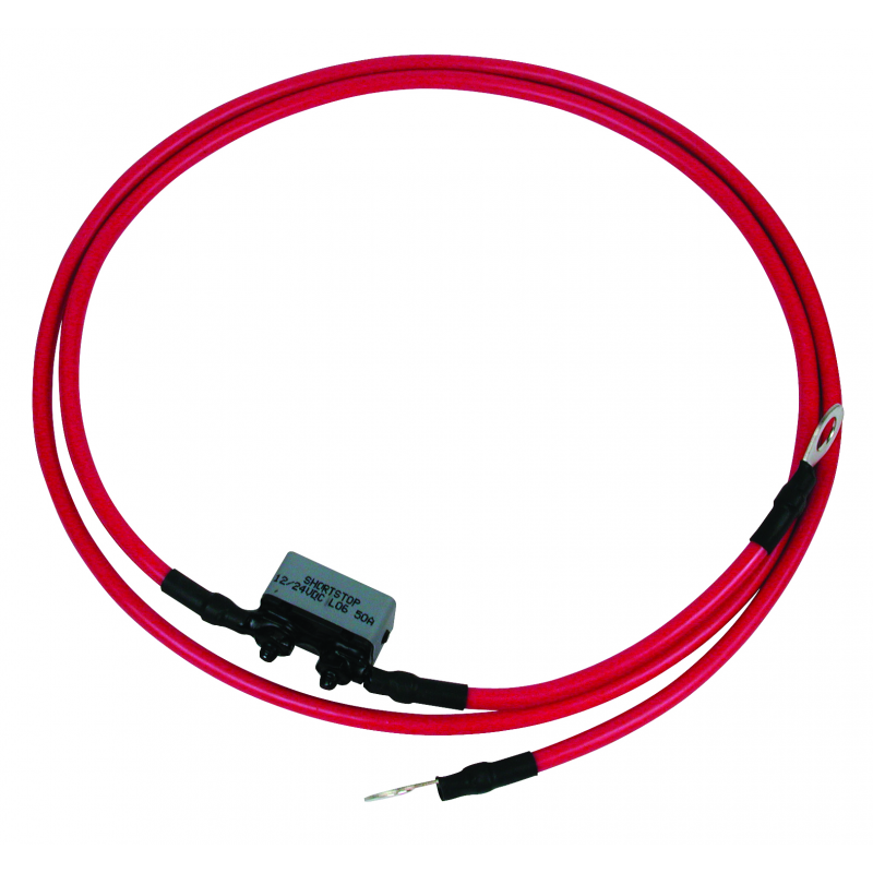 Motorguide Cavo batterie 50a