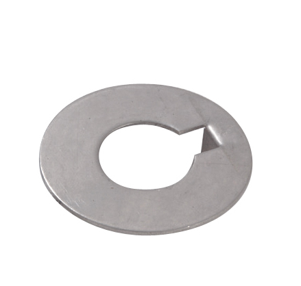 Enrico Polipodio Rondella Inox Ø Mm.45