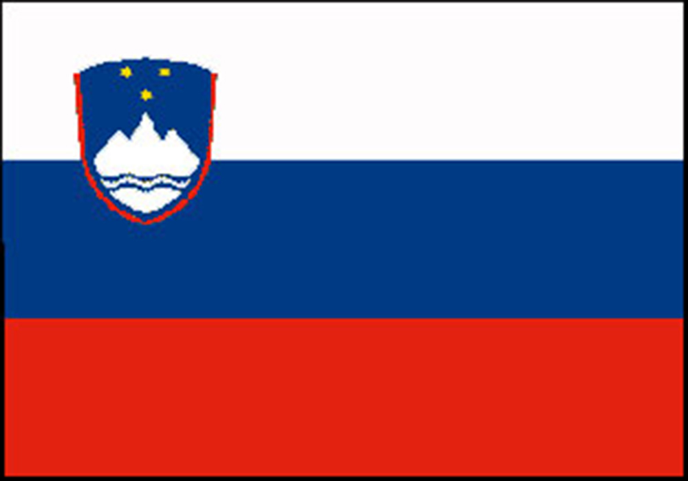 Adria Bandiera Slovenia Cm.20x30