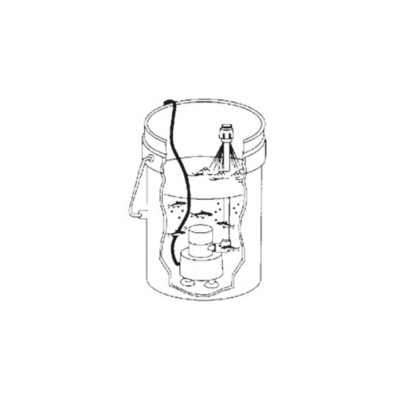 Pompa areatrice 12 v.