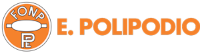 Enrico Polipodio
