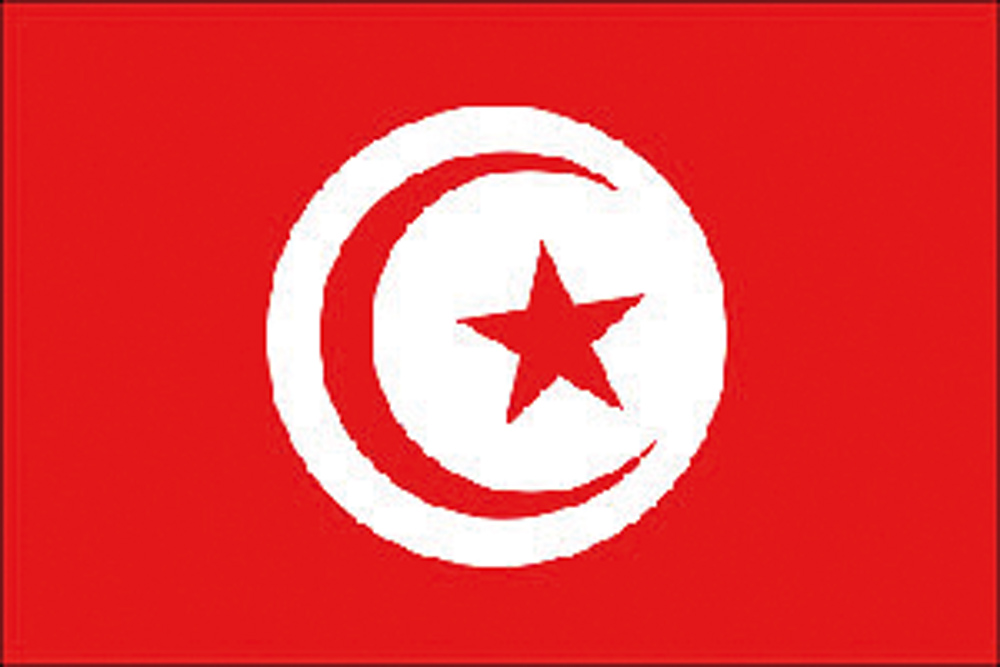Adria Bandiera Tunisia Cm.20x30