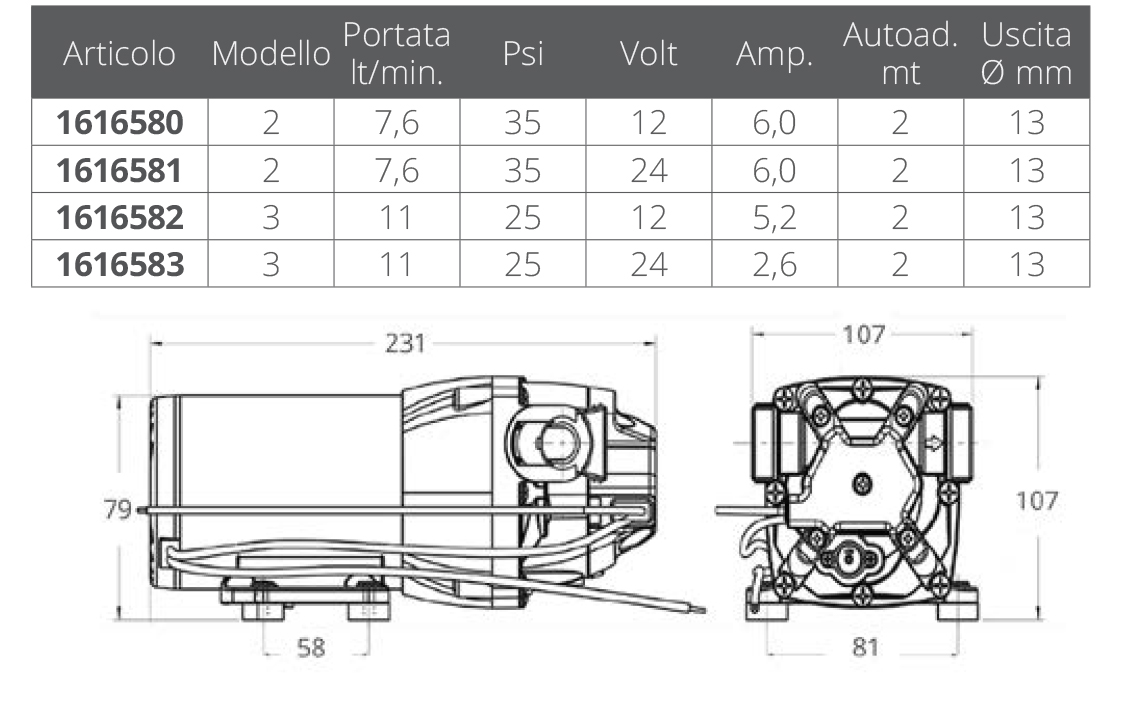Jabsco Marine Parmax 3 25psi 24v